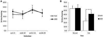 Bidirectional Effects of Cannabidiol on Contextual Fear Memory Extinction